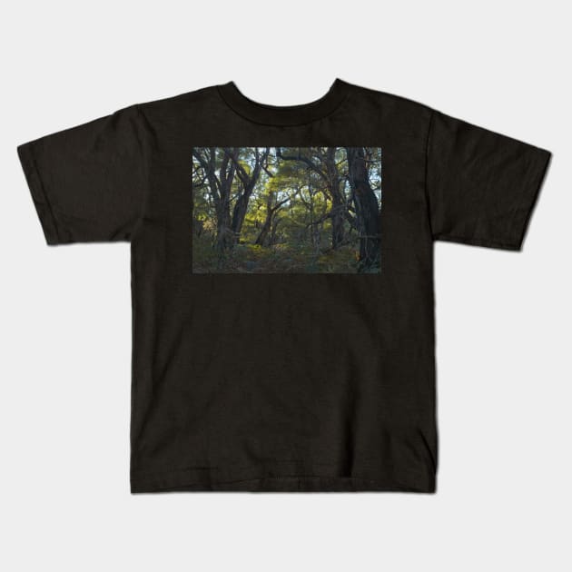 Greens Bush #8 Kids T-Shirt by athexphotographs